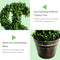 24 Inch Artificial Boxwood Topiary Faux Decorative Indoor Outdoor Tree