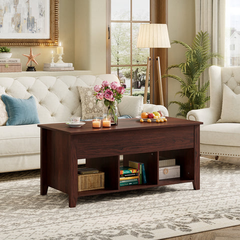 Lift Top Coffee Table with Storage Lower Shelf-Brown