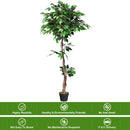 5.5 Feet Artificial Ficus Silk Tree with Wood Trunks