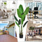 5.3 Feet Artificial Decorative Tropical  Indoor-Outdoor Tree