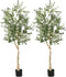 6 Feet Artificial Olive Tree in Cement Pot-2 Pieces